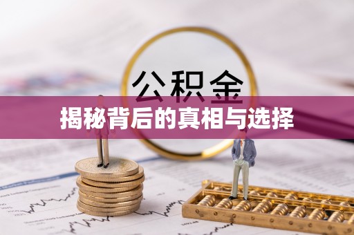 造桥揭秘背后的真相与选择