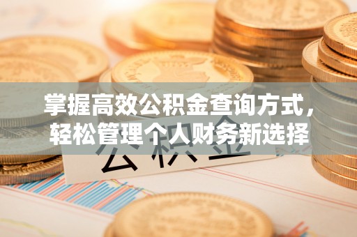 造桥掌握高效公积金查询方式，轻松管理个人财务新选择