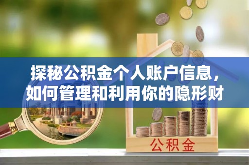 造桥探秘公积金个人账户信息，如何管理和利用你的隐形财富
